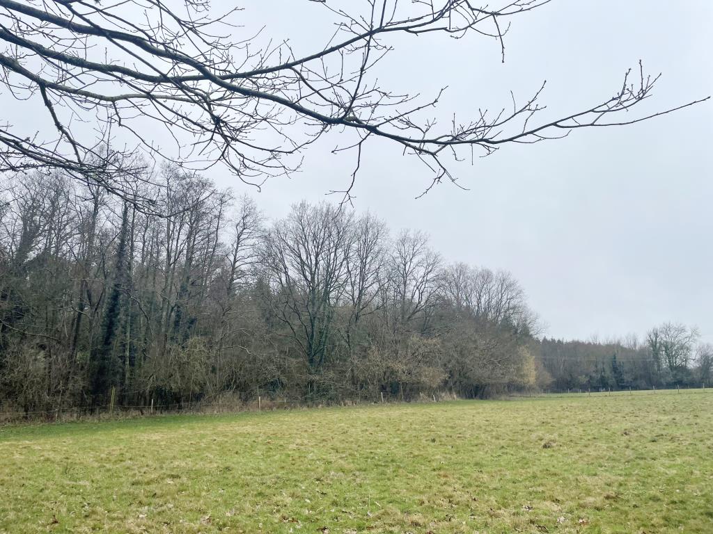 Lot: 121 - APPROXIMATELY THREE ACRES OF WOODLAND - 